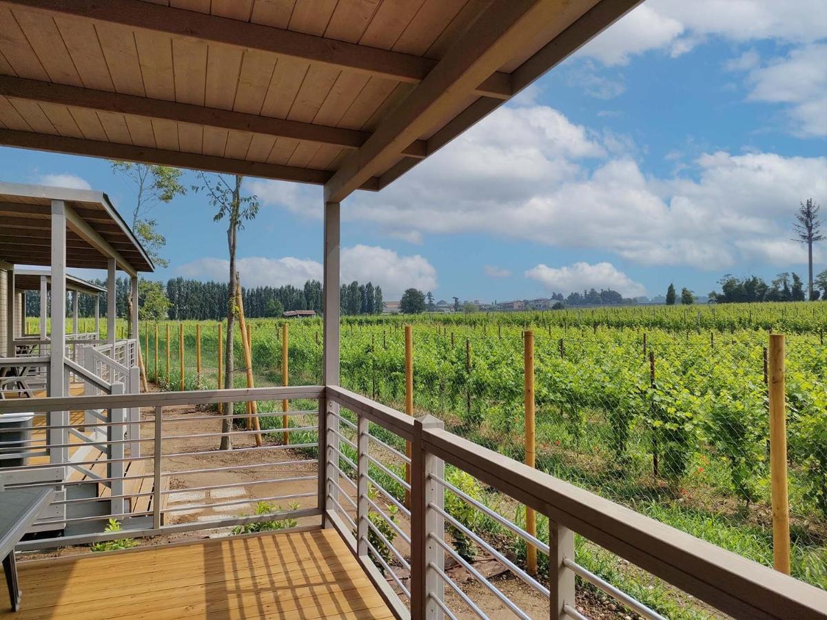 Garda Di Vino Agricamping & Wine Shop Lazise Ronchi  Eksteriør bilde